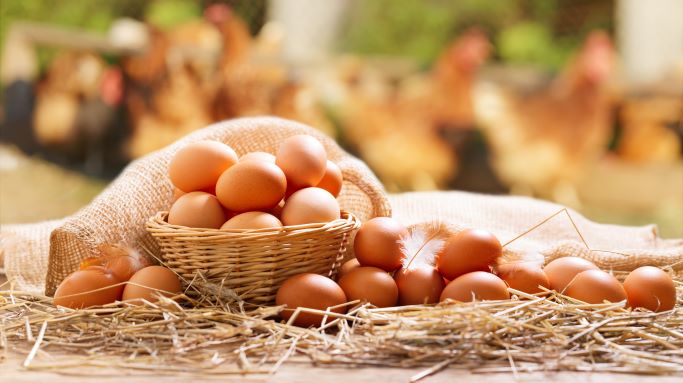 THỰC PHẨM GIÀU CANXI TỐT CHO NGƯỜI CAO TUỔI
